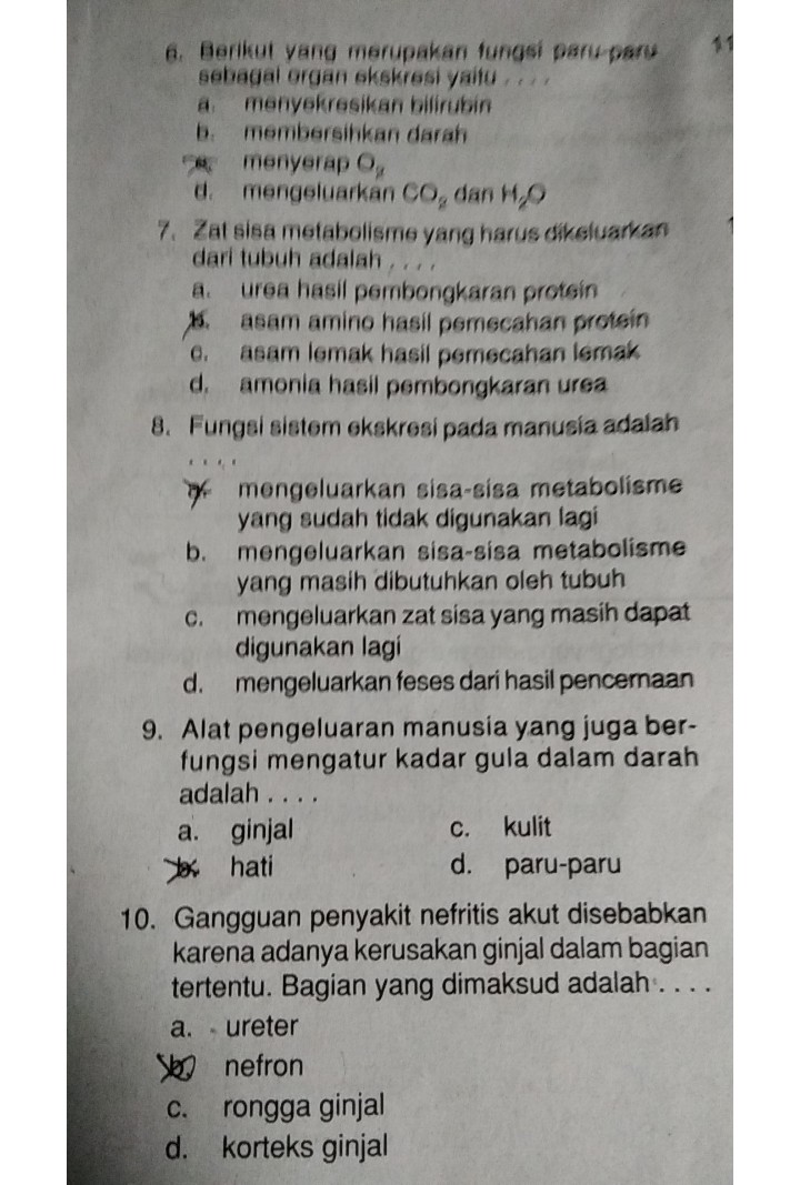 11 Adanya Batu Ginjal Di Lihat Cara Penyelesaian Di Qanda