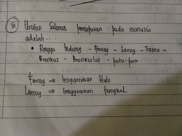 8 Urutan Saluran Pernapa Descubre Como Resolverlo En Qanda 8 Urutan Saluran Pernapa Descubre Como Resolverlo En Qanda