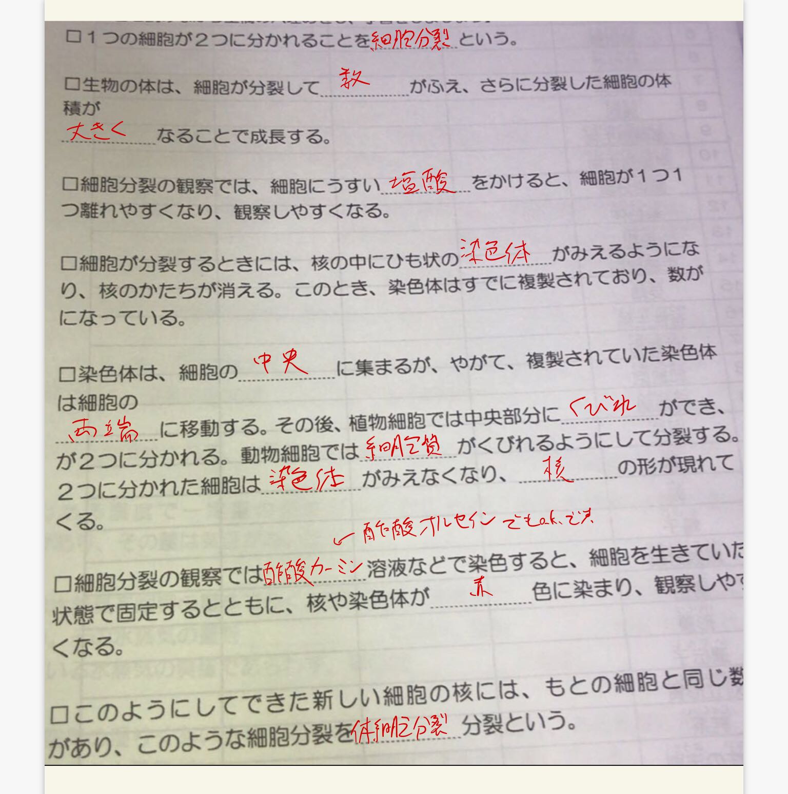 12 Of 11 2 2 Descubre Como Resolverlo En Qanda